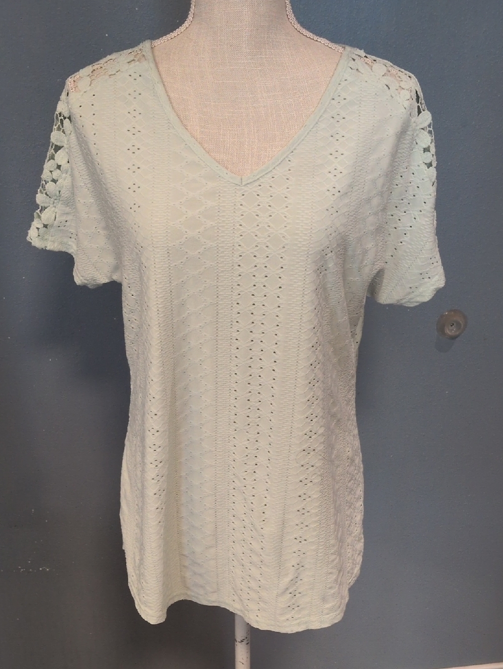 Mod Lily Vneck Flowy Eyelet Floral Lace Short Sleeve Blouse Feminine Spring